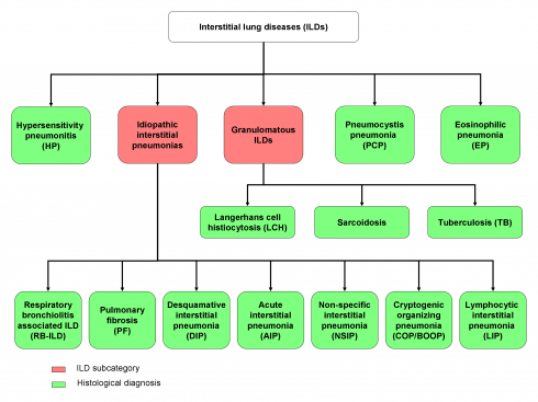 interstitial lung disease classification